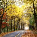 청남대 진입로 이미지