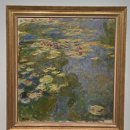 먼마루 벚꽃거리 문 | (18) [교토 벚꽃 여행 9일차] 2025.4.3. 교토시 교세라 미술관 - 무린안 - 교토부립 식물원