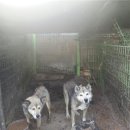 재순농장 이미지