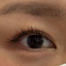 애버그린 | 1:1 맞춤 속눈썹 펌 후기🫶 용문역 “애버그린뷰티”