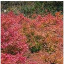 포근한방문요양센터 이미지