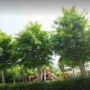 반송동 299 이미지