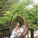 다진솥뚜껑생삼겹살 이미지