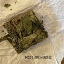 달빛수선 이미지