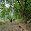 순직산업전사위령탑 이미지