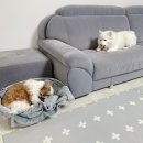 펫리셔스(petlicious) 네이버블로그