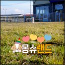 몽슈 | 경산 하양 애견카페 대구 근교 운동장이 있는 몽슈랜드