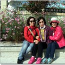 고금초등학교 이미지