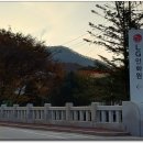 산업대 은행나무길 이미지