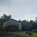 대한목장 | 제주 [대한목장] 후기 사진 찍기 좋은 초원 감성 명소