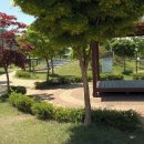 정읍어린이교통공원 이미지