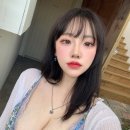 세딘