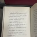 잠자는 미녀, 眠れる美女