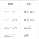 체질량지수(BMI) 계산기 이미지