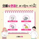 으뜸플러스안경 춘천석사점 이미지