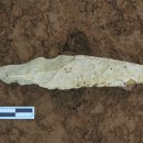 임실 가덕리 하가구석기유적 이미지