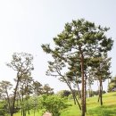 충혼공원 이미지