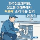 221-운정3-221 | 파주싱크대막힘, 싱크볼 아래쪽에서 ‘꾸르륵’ 소리 나는 집의 공통점