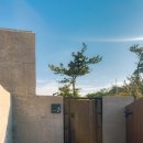 실론제주 이미지