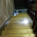 달곰 타이어 이미지