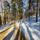 (주)방아다리 이미지