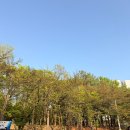 부평공원로 | 인천 부평 야장 삼겹살집 뚱이네 밴댕이포차 후기