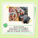 로직앤디자인