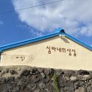 심바네의상실 | 강아지 동반 제주도 여행 애견 동반 강아지 소품샵/제주도 기념품 심바네의상실
