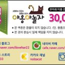 야옹아 놀자 이미지