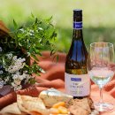 쿨 트레이딩 이미지