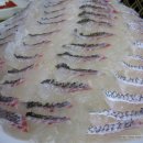 ㅋ ㅠ당구장 이미지