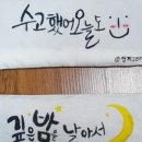 선지그리다 이미지