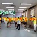 일로-17 이미지