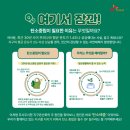 위촌2리 | SK forest 수페지기 1기 마지막 활동 리뷰, 12주차까지의 여정 돌아보기.