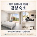 사평대로6길 109-9 | 제주 공항 근처 가족여행 코스 1일차, 무지개 해안도로 드라이브, 취향저격 맛집 침대 3개숙소