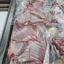 알콩달콩 흑염소 | 달려라!! 흑염소!! 오늘도 파이팅!!