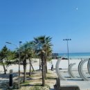 선흘곶 사계 이미지