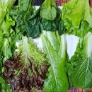 재성농장 이미지