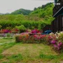 힐링퍼피 이미지