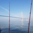 인천유선 이미지