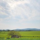 도호농장 이미지