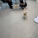 무브멍트 이미지