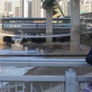 오전육교 이미지