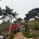 솔토락 팬션 이미지