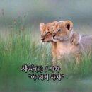 고향사랑e음 -국제식품 후기