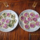 영창농장 이미지