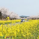 가시식당