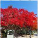 희망펜션 이미지