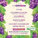 거제둔덕포도축제 | 제13회 거제둔덕포도축제