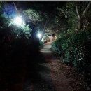 카페94번길
